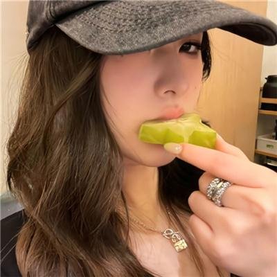 豺狼计划